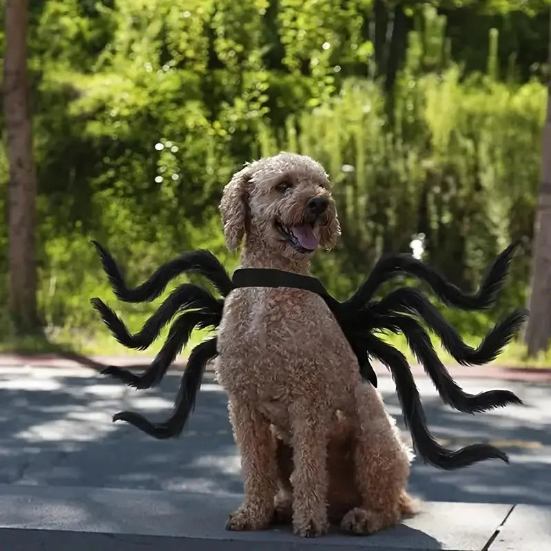 Spider Costume for Pets with Realistic Articulated Legs and Adjustable Fit All Vera Mart