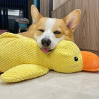 Quacking Dog Toy with Low Realistic Quack and Reinforced Plush, Machine Washable All Vera Mart