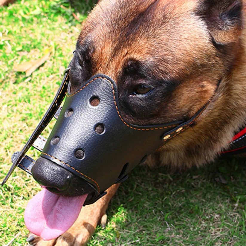 Adjustable Dog Muzzle with Mesh and Leather, Anti Slip Ring All Vera Mart