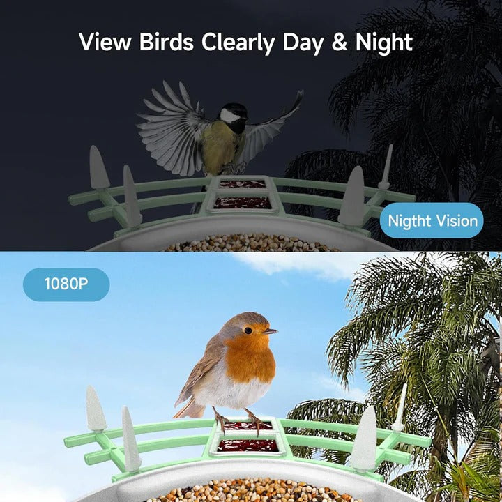 Bird Feeder Camera with 1080p Night Vision and App Motion Alerts All Vera Mart