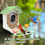 Bird Feeder Camera with 1080p Night Vision and App Motion Alerts All Vera Mart