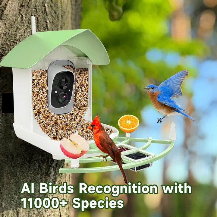 Bird Feeder Camera with 1080p Night Vision and App Motion Alerts All Vera Mart