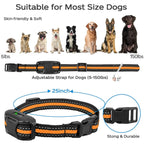 Waterproof Dog Training Collar with 3300ft Remote and Three Correction Modes All Vera Mart