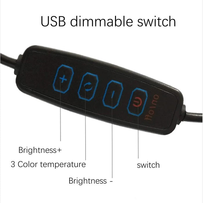 Adjustable Desk Lamp with Touch Control and Three Color Temperatures, USB Powered All Vera Mart
