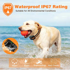 Waterproof Dog Training Collar with 3300ft Remote and Three Correction Modes All Vera Mart