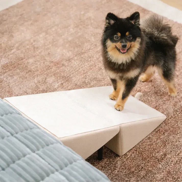Dog Ramp and Step Stool with Textured Grip Panel and Suction Cup Base for 200lb Capacity All Vera Mart