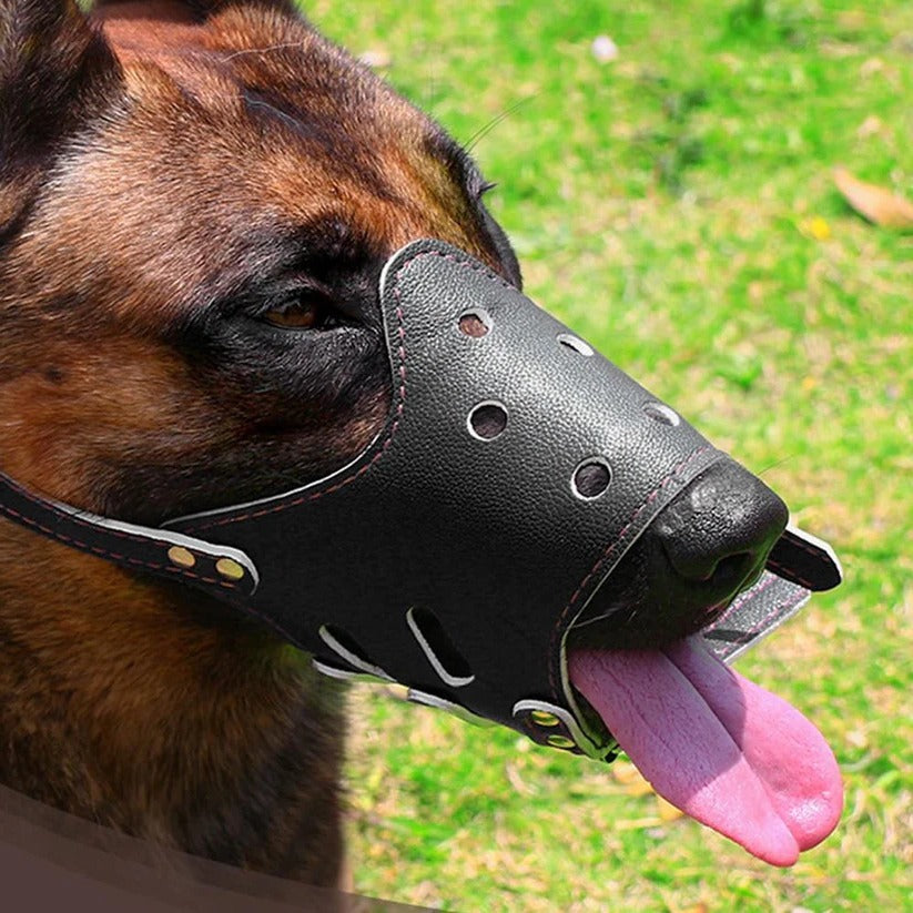 Adjustable Dog Muzzle with Mesh and Leather, Anti Slip Ring All Vera Mart