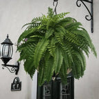 Artificial Boston Fern with Bendable Stems and UV Protection, 18-22 Inches All Vera Mart