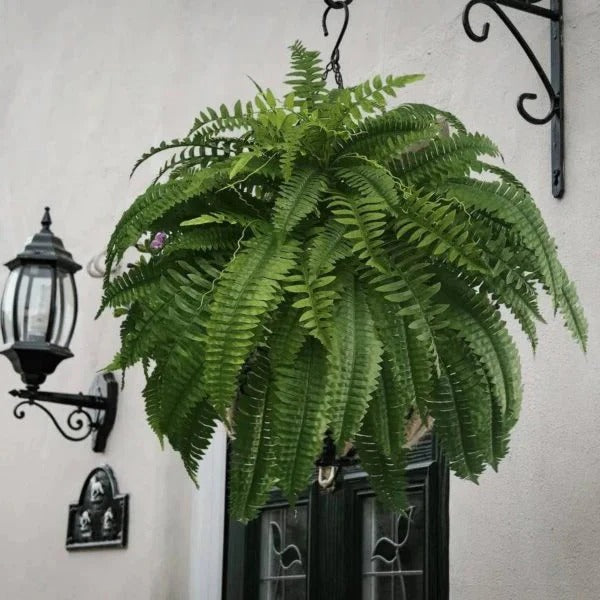 Artificial Boston Fern with Bendable Stems and UV Protection, 18-22 Inches All Vera Mart