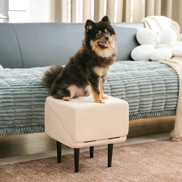 Dog Ramp and Step Stool with Textured Grip Panel and Suction Cup Base for 200lb Capacity All Vera Mart