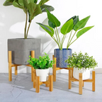 Wooden Plant Pot Tray with Raised Edges and Moisture Catch Design All Vera Mart