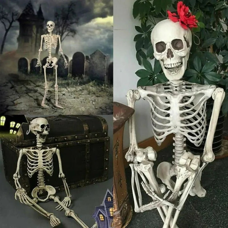 16-Inch Poseable Skeleton with Hinged Joints and Movable Jaw for Halloween Displays All Vera Mart