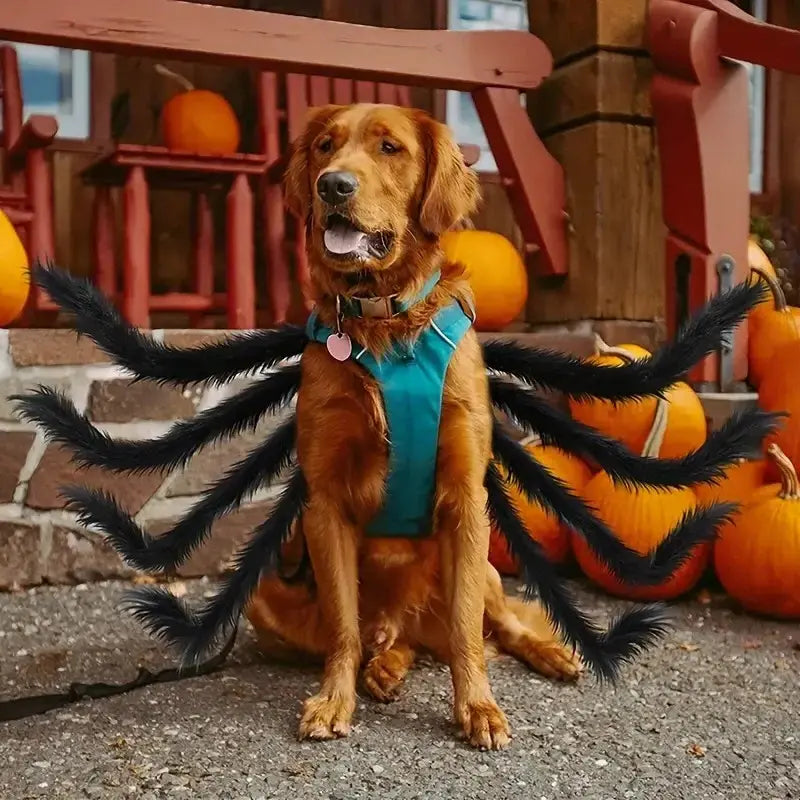 Spider Costume for Pets with Realistic Articulated Legs and Adjustable Fit All Vera Mart