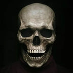 Skull Mask with Movable Jaw and Realistic Sculpted Finish, Unisex Full-Head Latex All Vera Mart