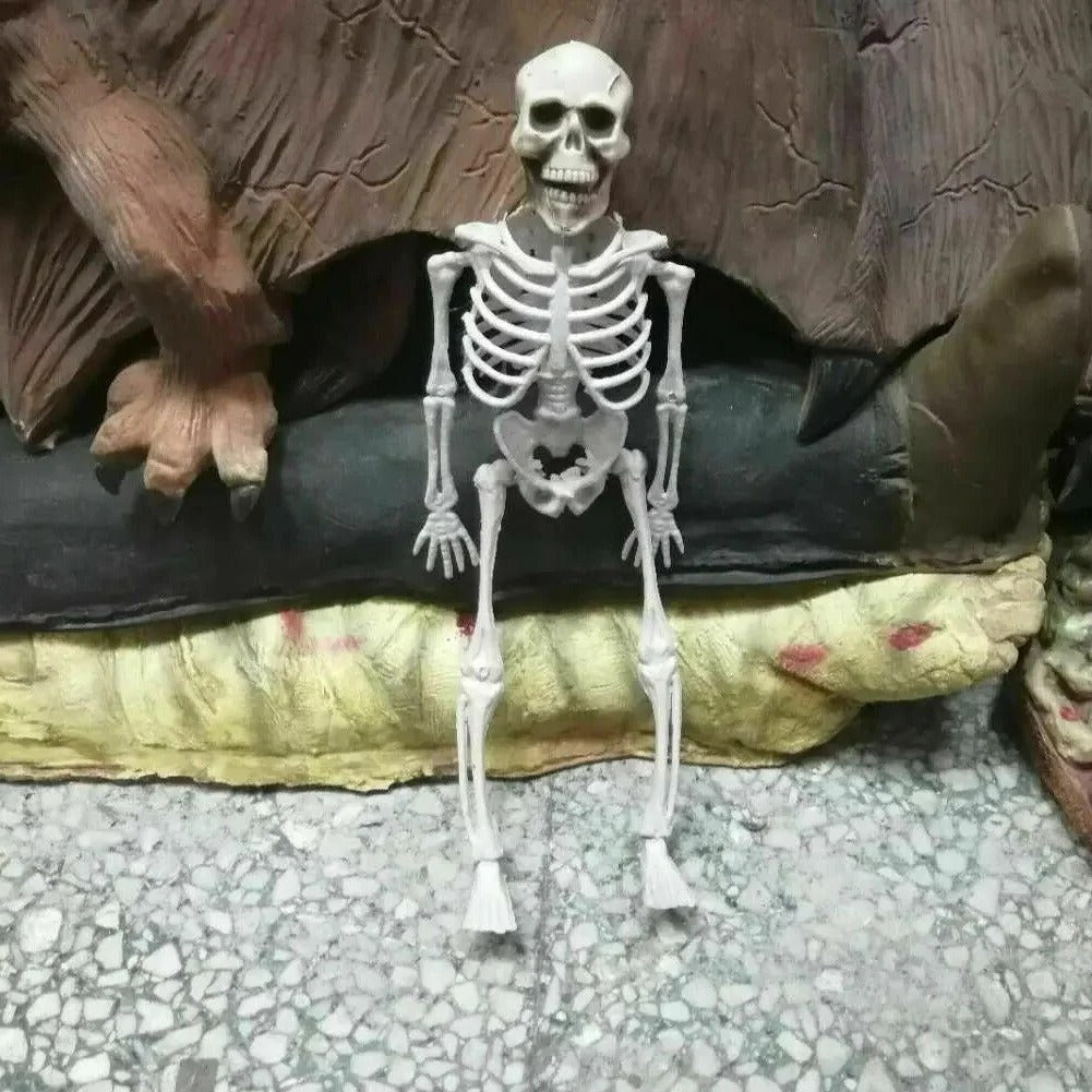16-Inch Poseable Skeleton with Hinged Joints and Movable Jaw for Halloween Displays All Vera Mart