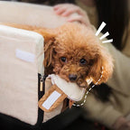 Small Pet Car Armrest Seat with Internal Safety Lanyard and Zippered Entry All Vera Mart