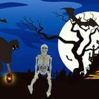 16-Inch Poseable Skeleton with Hinged Joints and Movable Jaw for Halloween Displays All Vera Mart