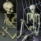 16-Inch Poseable Skeleton with Hinged Joints and Movable Jaw for Halloween Displays All Vera Mart