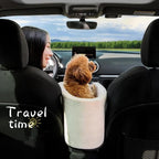 Small Pet Car Armrest Seat with Internal Safety Lanyard and Zippered Entry All Vera Mart
