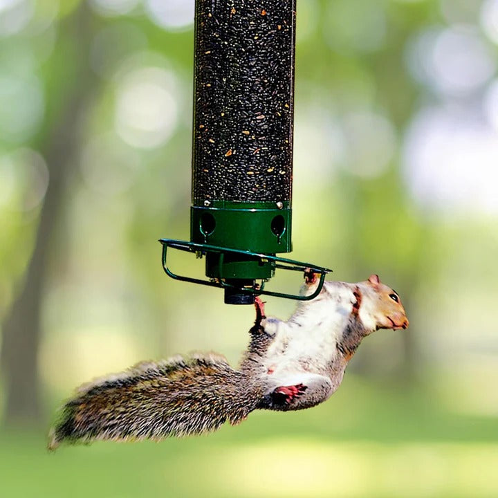 Spinning Perch Bird Feeder with Weight-Activated Squirrel Deterrent and Four Feeding Ports All Vera Mart