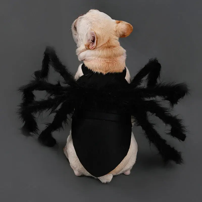 Spider Costume for Pets with Realistic Articulated Legs and Adjustable Fit All Vera Mart