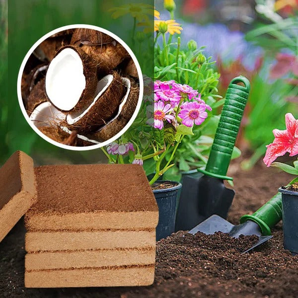 Compressed Coco Coir Block with Water Expansion and Natural Fibers for Plants All Vera Mart