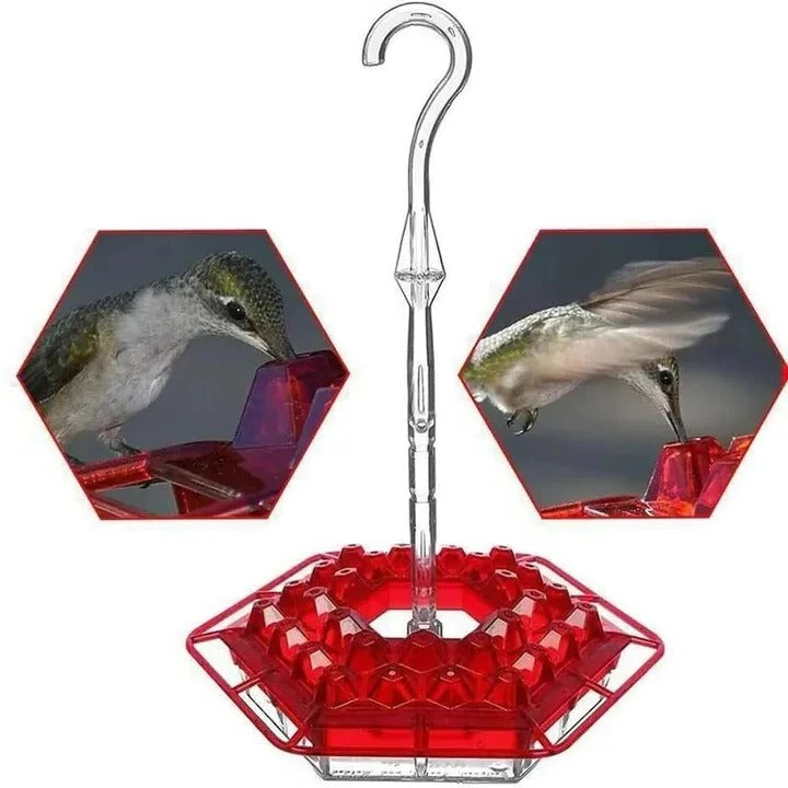 Hummingbird Feeder with Water Moat and 30 Feeding Ports, 12oz Capacity All Vera Mart