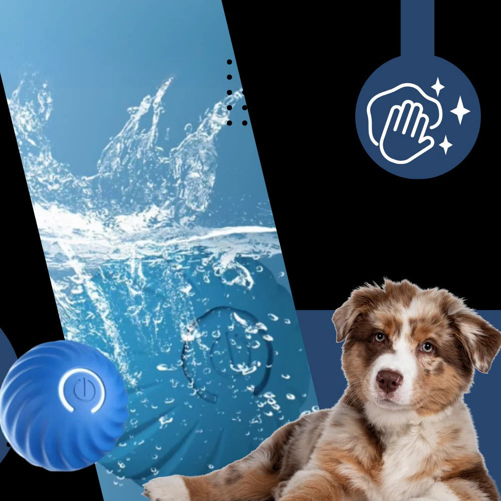 Self-Rolling Dog Ball with Obstacle Avoidance and Rechargeable Battery All Vera Mart