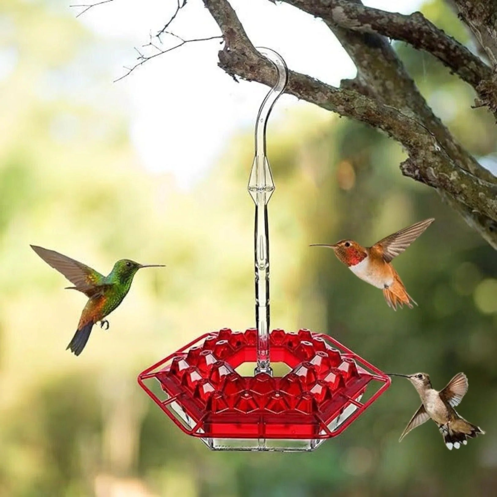 Hummingbird Feeder with Water Moat and 30 Feeding Ports, 12oz Capacity All Vera Mart