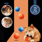 Self-Rolling Dog Ball with Obstacle Avoidance and Rechargeable Battery All Vera Mart