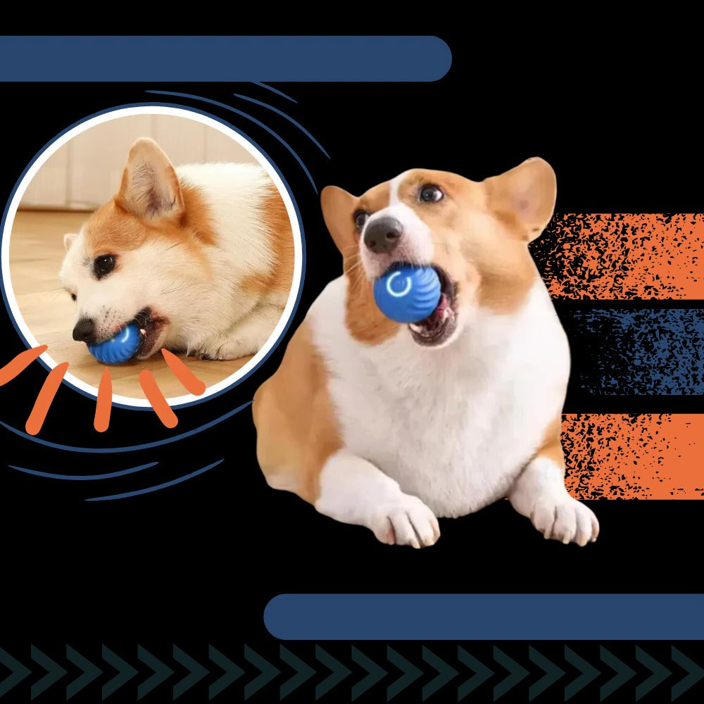 Self-Rolling Dog Ball with Obstacle Avoidance and Rechargeable Battery All Vera Mart