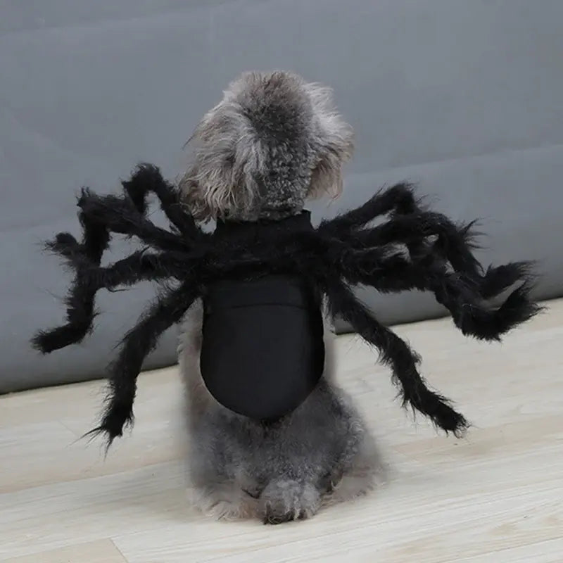 Spider Costume for Pets with Realistic Articulated Legs and Adjustable Fit All Vera Mart