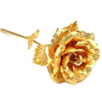 Gold Plated Real Rose with 24K Foil Coating and Gift Box, 11-12 Inches All Vera Mart