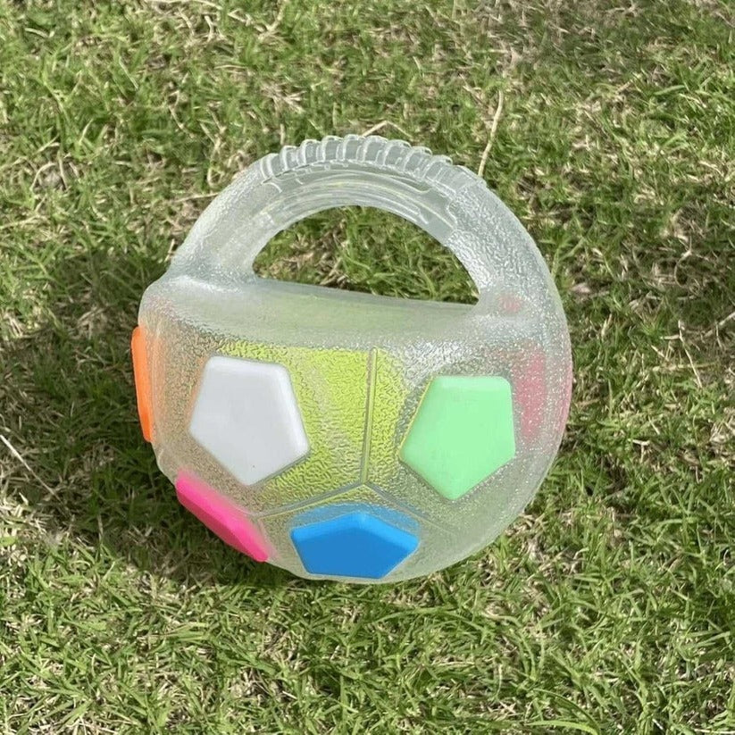 Handled Fetch Ball with Rubber Grip and Internal Squeaker for Dogs All Vera Mart