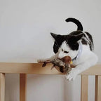 Motion Activated Plush Bird Toy with Flapping Wings and Chirping Sounds for Cats All Vera Mart