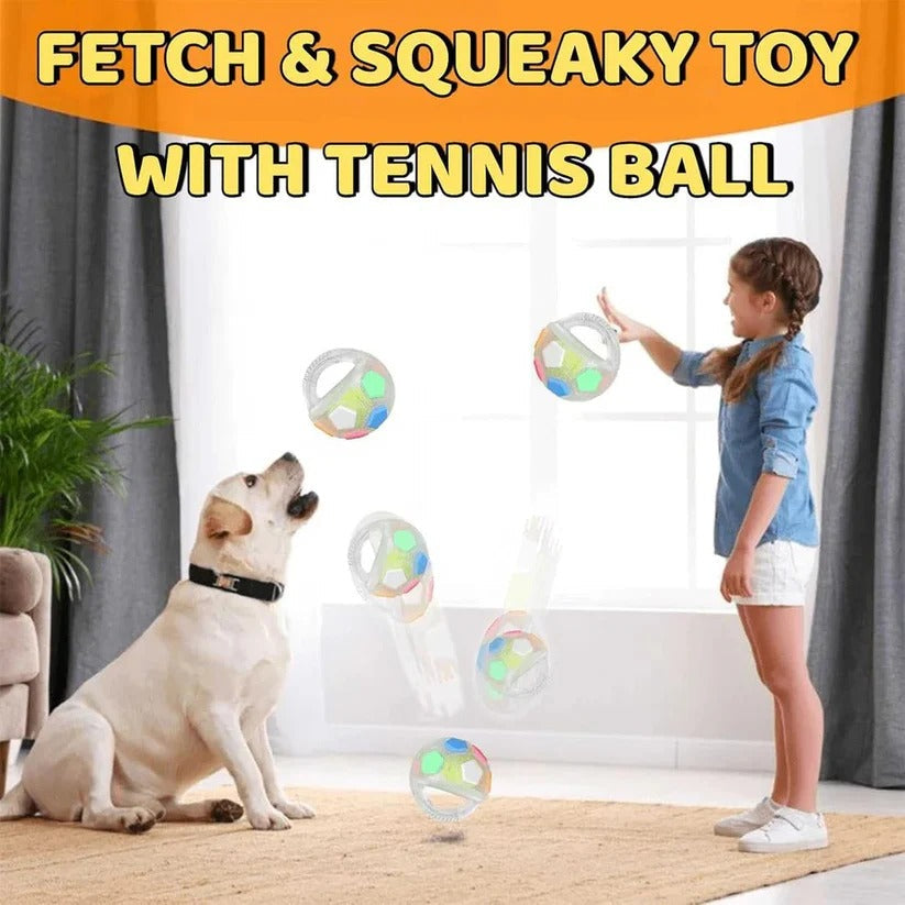 Handled Fetch Ball with Rubber Grip and Internal Squeaker for Dogs All Vera Mart