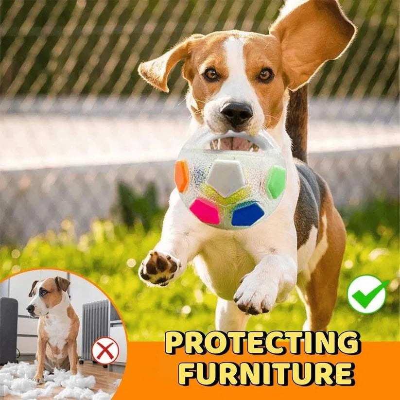 Handled Fetch Ball with Rubber Grip and Internal Squeaker for Dogs All Vera Mart