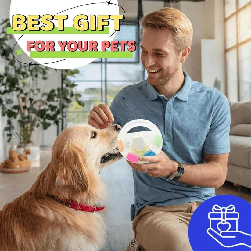 Handled Fetch Ball with Rubber Grip and Internal Squeaker for Dogs All Vera Mart