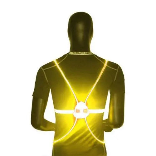 Reflective LED Safety Vest with 360-Degree Visibility and Adjustable Fit, USB Rechargeable All Vera Mart