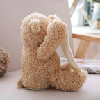 Interactive Plush Toy with Peekaboo Motion and Soothing Music, Removable Cover All Vera Mart