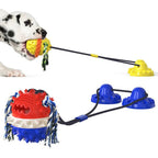 Rolling Pet Toy with Chew Bars and Self-Propelled Movement for All Sizes All Vera Mart