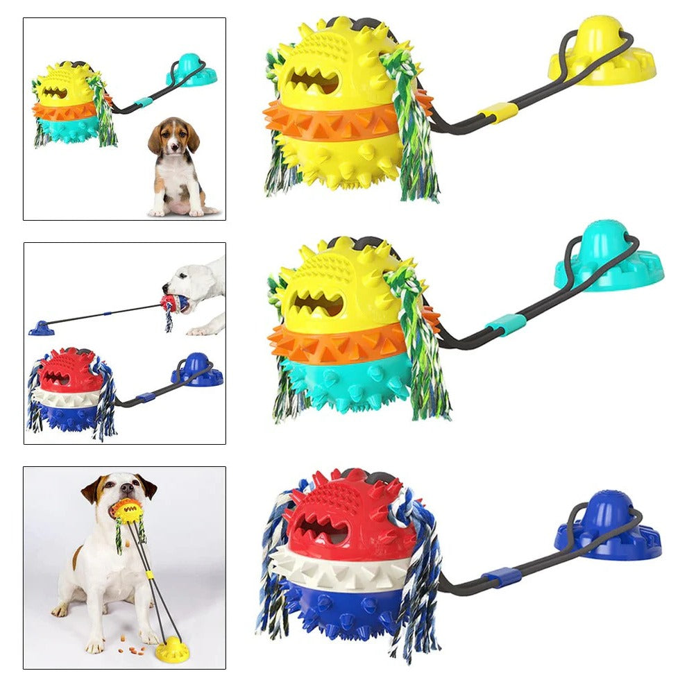 Rolling Pet Toy with Chew Bars and Self-Propelled Movement for All Sizes All Vera Mart