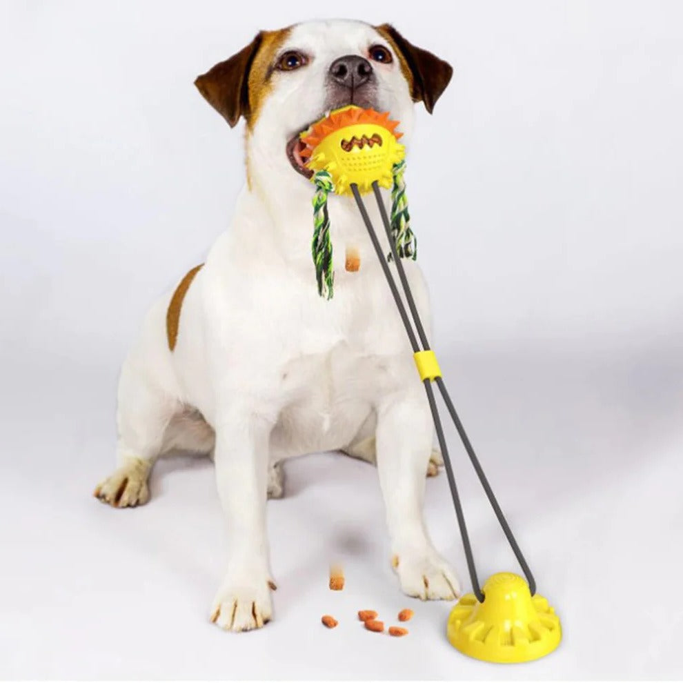 Rolling Pet Toy with Chew Bars and Self-Propelled Movement for All Sizes All Vera Mart