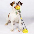 Rolling Pet Toy with Chew Bars and Self-Propelled Movement for All Sizes All Vera Mart