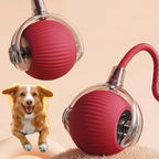 Interactive Dog Ball with Random Bounce and Removable Tail, Battery Operated All Vera Mart