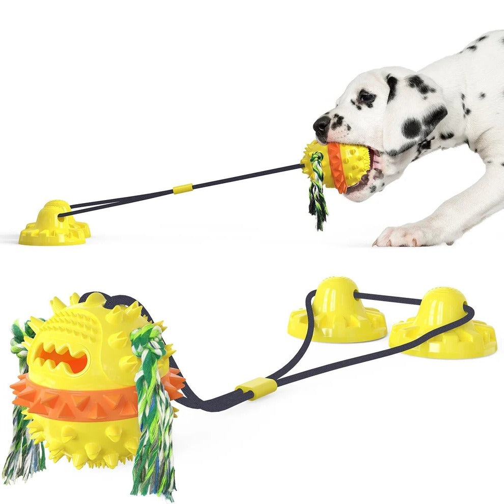 Rolling Pet Toy with Chew Bars and Self-Propelled Movement for All Sizes All Vera Mart