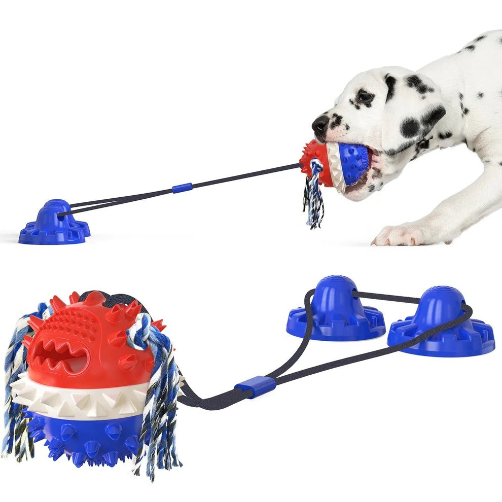 Rolling Pet Toy with Chew Bars and Self-Propelled Movement for All Sizes All Vera Mart