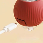 Interactive Dog Ball with Random Bounce and Removable Tail, Battery Operated All Vera Mart