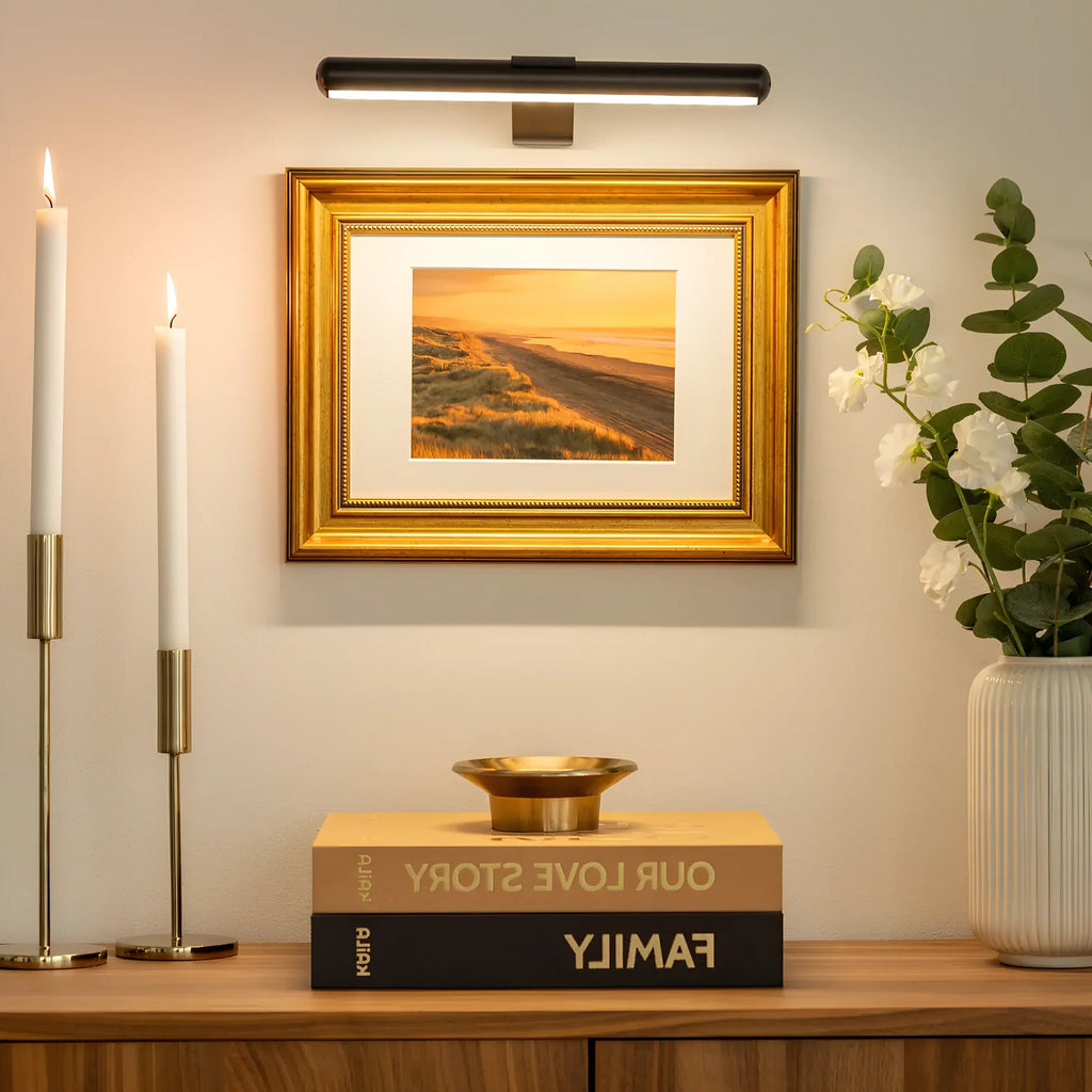 Wall Mount LED Picture Light with 360-Degree Rotation and Stepless Dimming All Vera Mart
