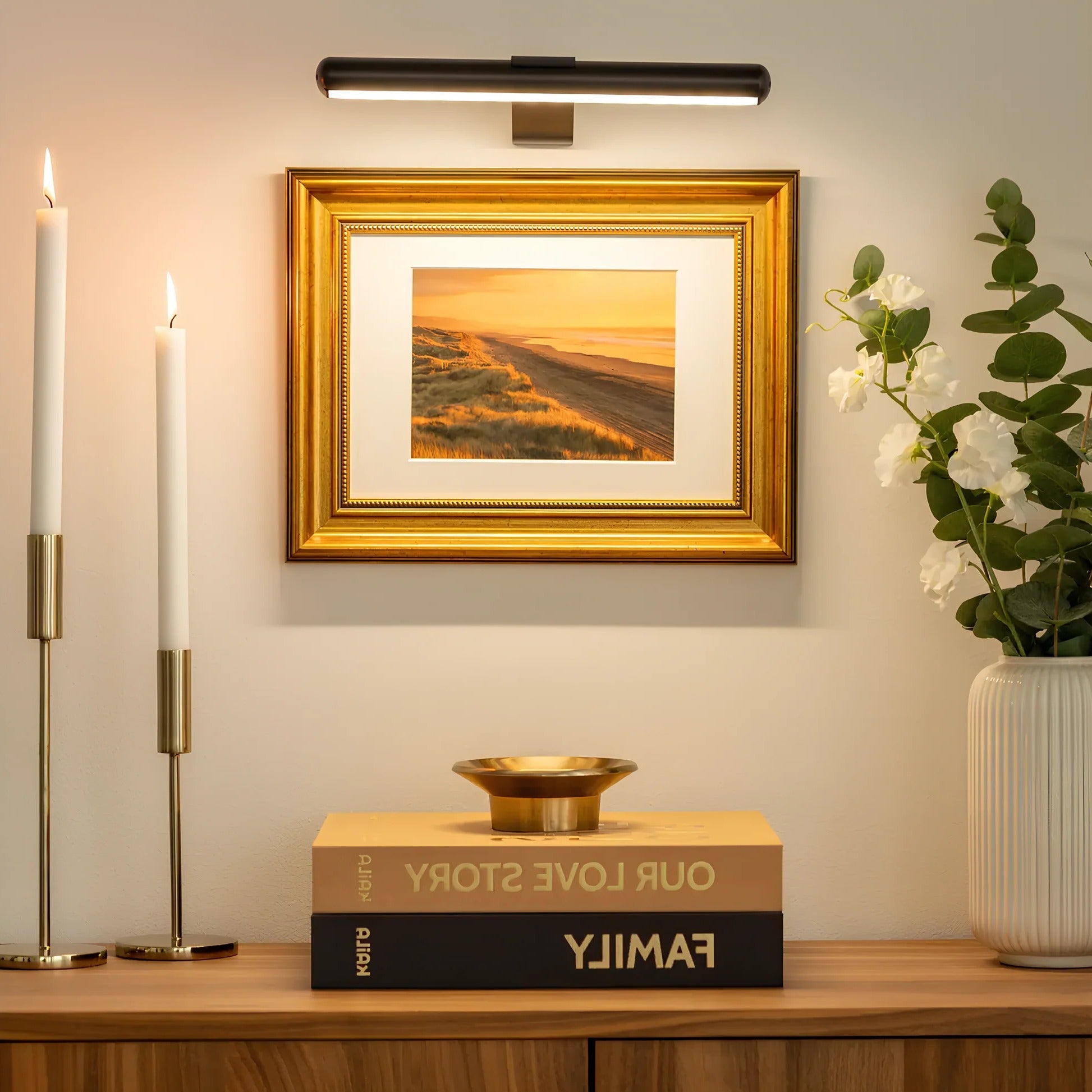 Wall Mount LED Picture Light with 360-Degree Rotation and Stepless Dimming All Vera Mart